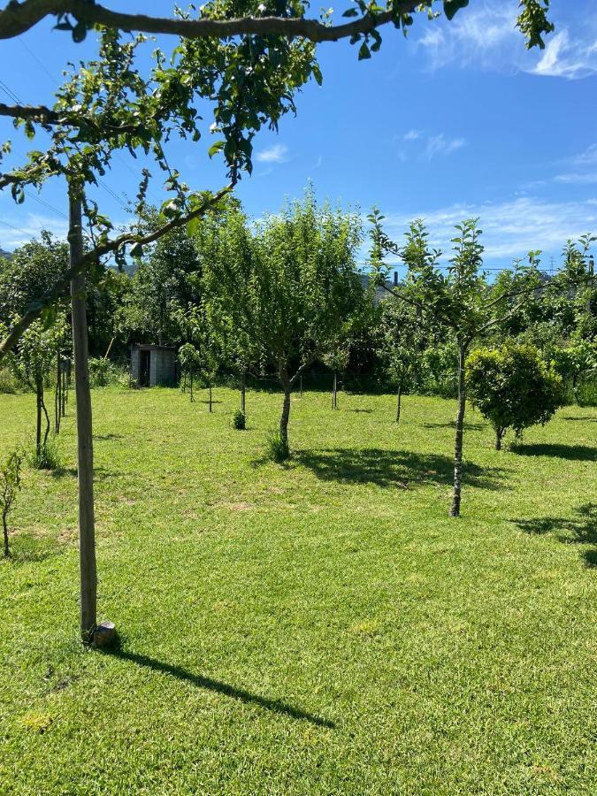 Casa Dos Avos Villa Povoa de Lanhoso Bagian luar foto